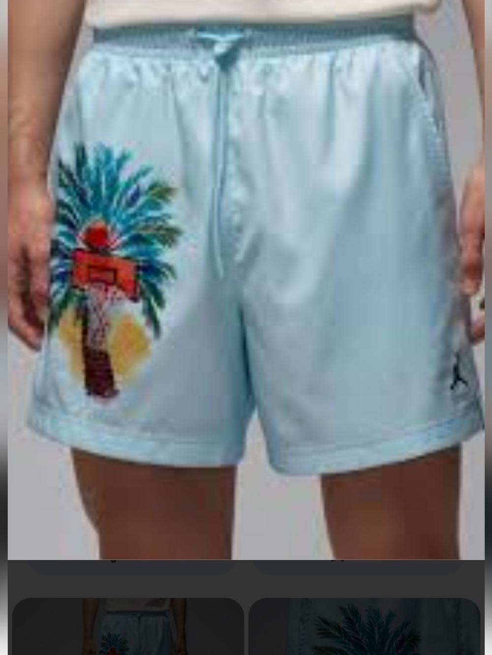 Jordan Essentials  Light Blue Shorts. Size XXL.